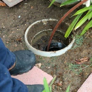 sewage backup cleanup in Charlotte