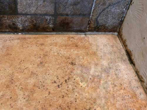 Mold Removal Charlotte Mold Removal Charlotte
