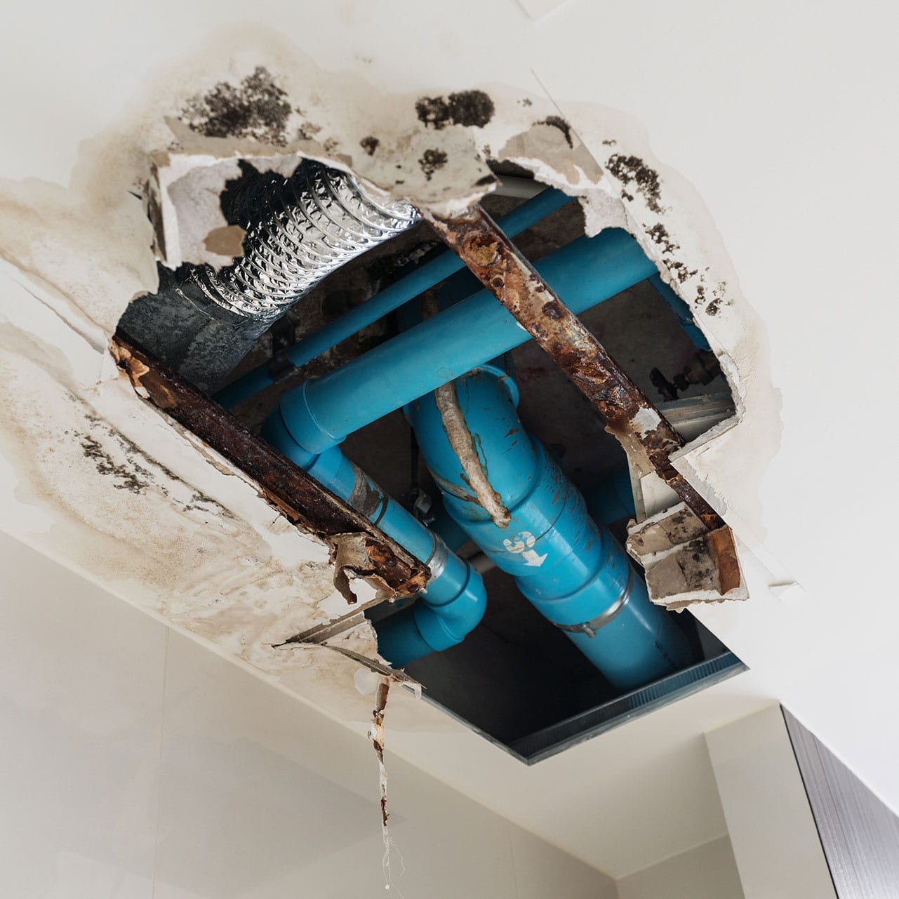 Ceiling Water Damage Repair Charlotte