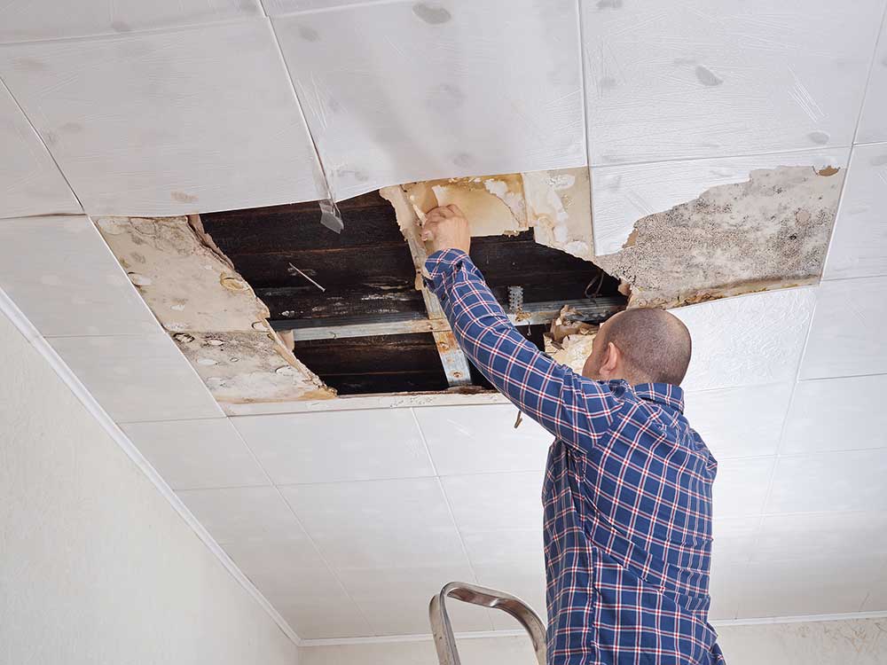 Ceiling Leak Repair Charlotte SC Ceiling Leak Repair Charlotte SC