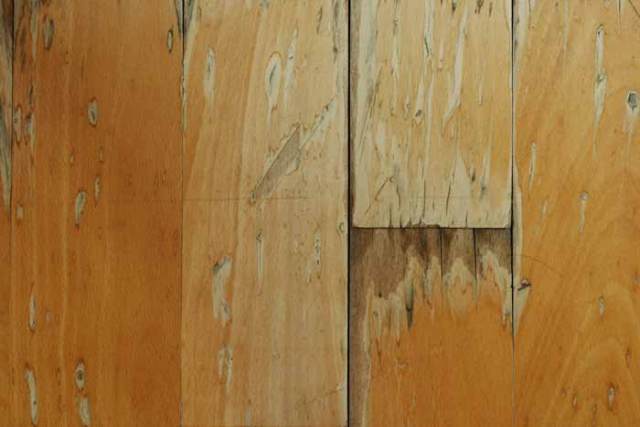 Water Damage Repair Of Hardwood Floors In Charlotte Nc